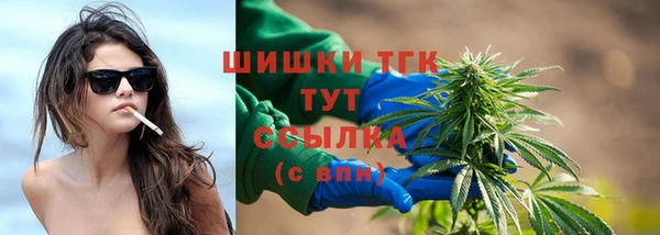 дмт Дмитровск