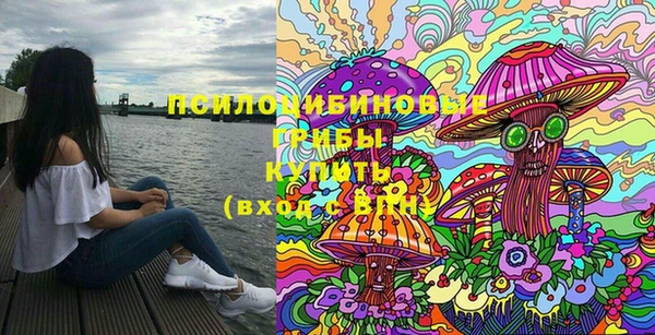 круглые Дмитриев