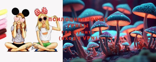 дмт Дмитровск